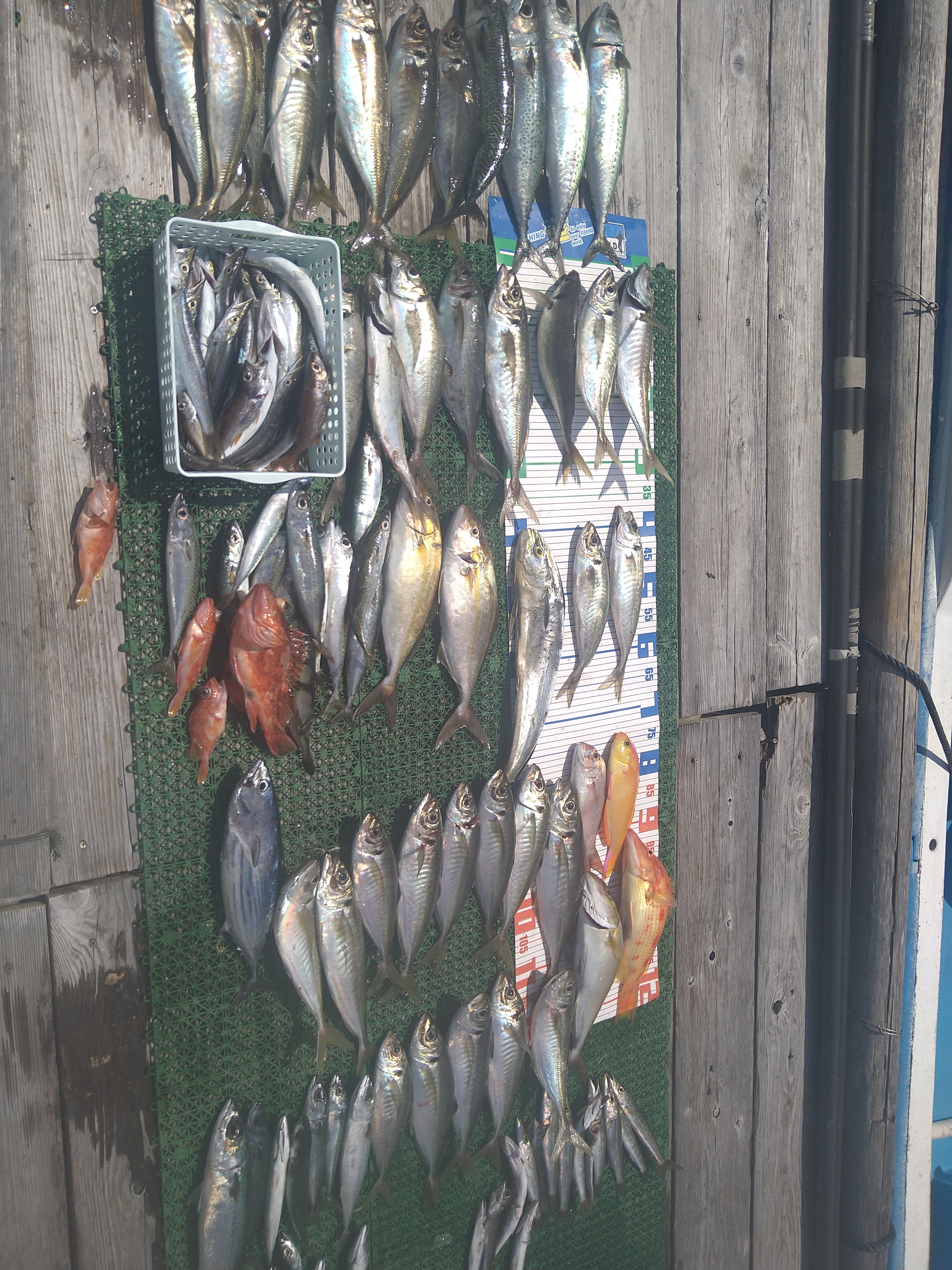 島根半島の海水浴場福間館 島根県美保関