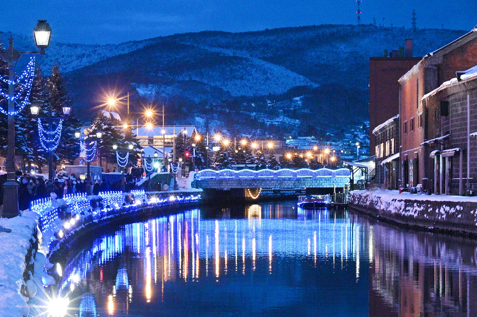 The otaru canal is lighting up by blue✨ 小樽運河では、イルミネーション「青の運河」を実施中です✨lightingupotarucanaltravel小樽運河小樽旅行