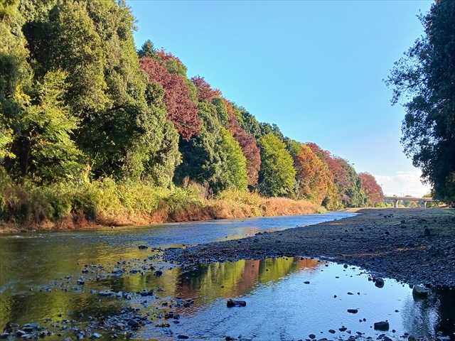 埼玉嵐山渓谷の魅力と楽しみ方2025 年のリアルなLemon8ユーザー体験