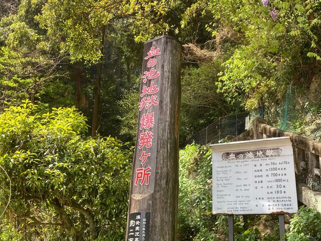 人喰いピラニア鑑賞！別府・白池地獄の料金、血の池地獄行きのバス情報 - 旅好きアラサー女子の世界一周ブログ