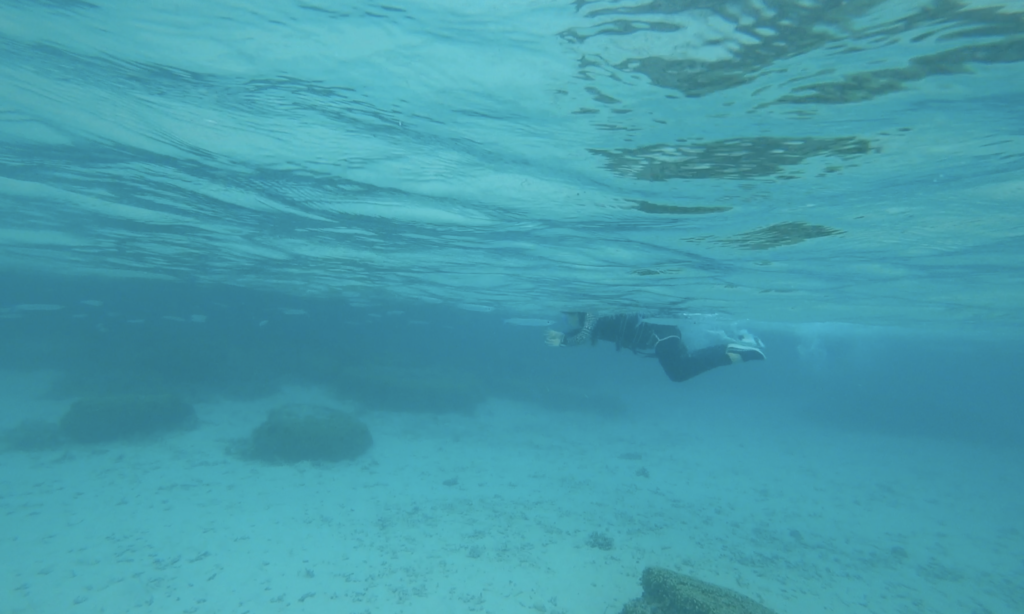 イパオビーチパークで最高のシュノーケリング体験を!Guam Navi