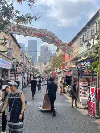 チャイナ タウン ストリート マーケット クチコミ・アクセス・営業時間シンガポール フォートラベル