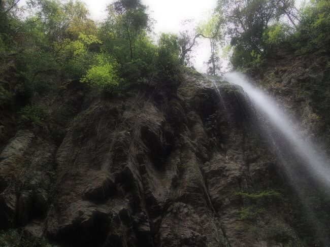 今滝へのアクセス子供とお出かけ情報「いこーよ」