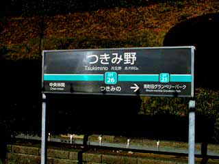 大和市つきみ野1丁目戸建 ファインコート中央林間グランプレイス の物件情報 F94APA13 三井のリハウス