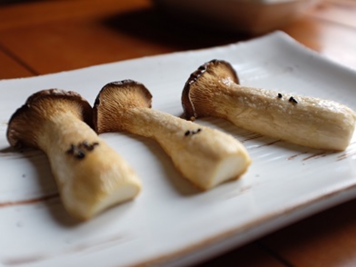 敬神キャンプ場 アクセス・営業時間・料金情報 - じゃらんnet