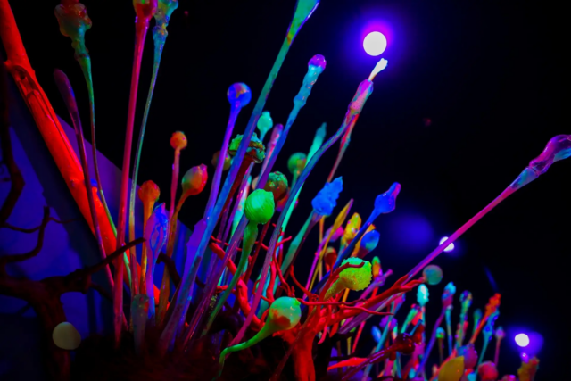 期間限定 アクアリウム宇宙旅行 UNDER WATER SPACE アンダーウォータースペース の口コミ一覧子供とお出かけ情報「いこーよ」