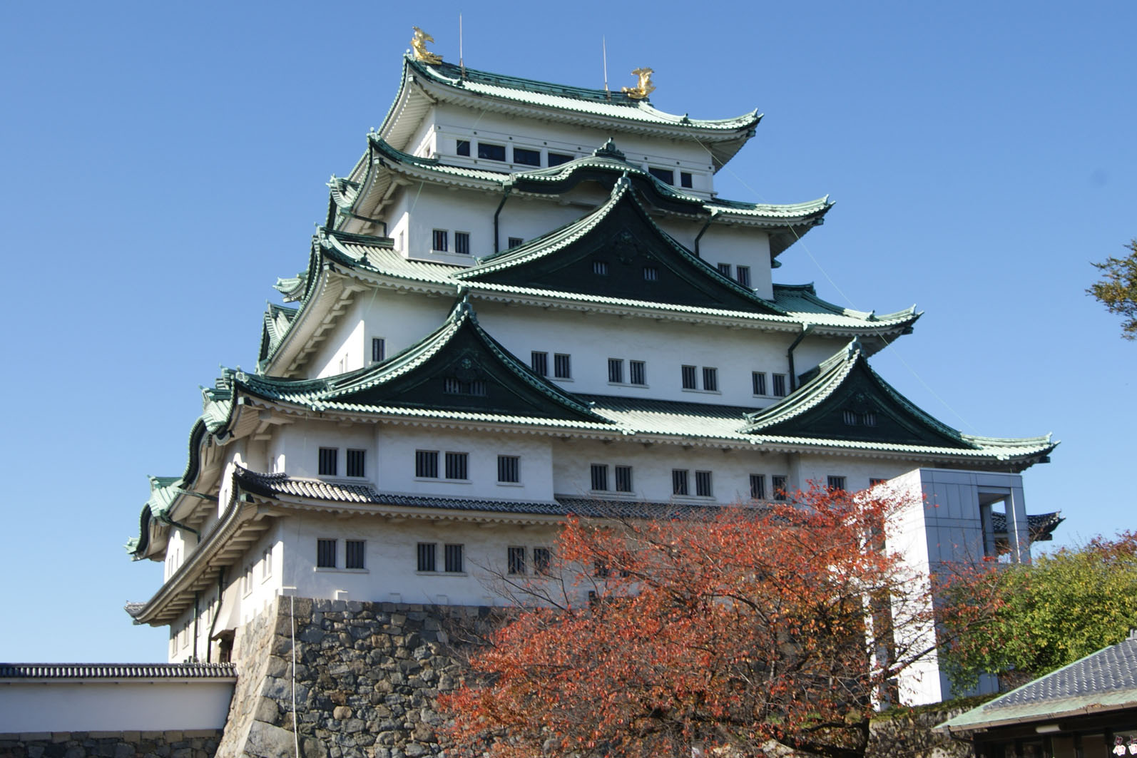 名古屋城の木造天守閣復元、最短で２０３２年度 名古屋市が目安示す：中日新聞Web