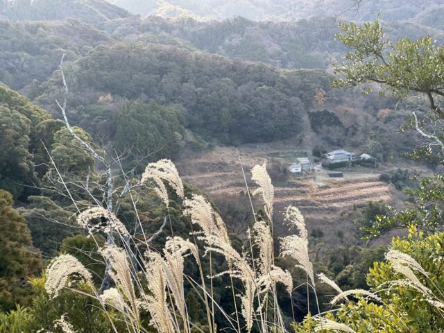 都内からすぐ行ける絶景！千葉のグランドキャニオン「屏風ヶ浦」icotto イコット