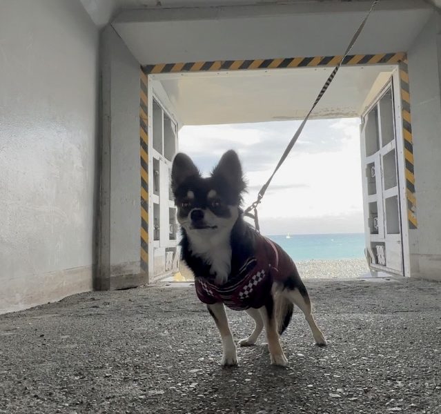 2025最新版 海ほたる完全ガイドアクセス・駐車場・見どころ・渋滞対策まで徹底解説！ドライブ情報館365