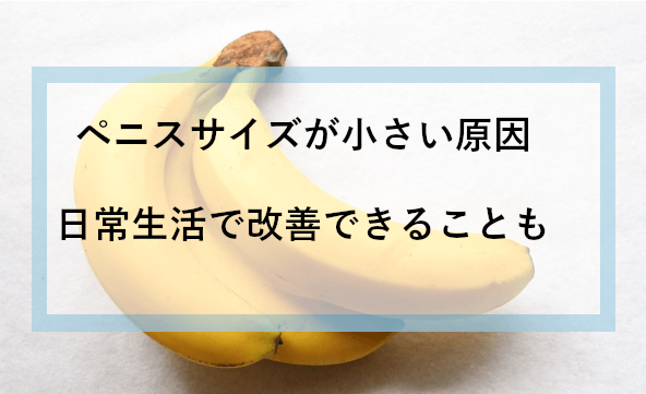 平均的なペニスの大きさを身近なものと比較しまくってみるとこうなる - GIGAZINE