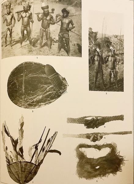 ロイヤルティ諸島個人旅行ガイド 2025年 ：おすすめのアクティビティ、人気観光スポット、旅程の計画、宿泊施設、グルメ、交通機関、天気など、旅行に必要な情報が満載 2025年10月更新Trip.com