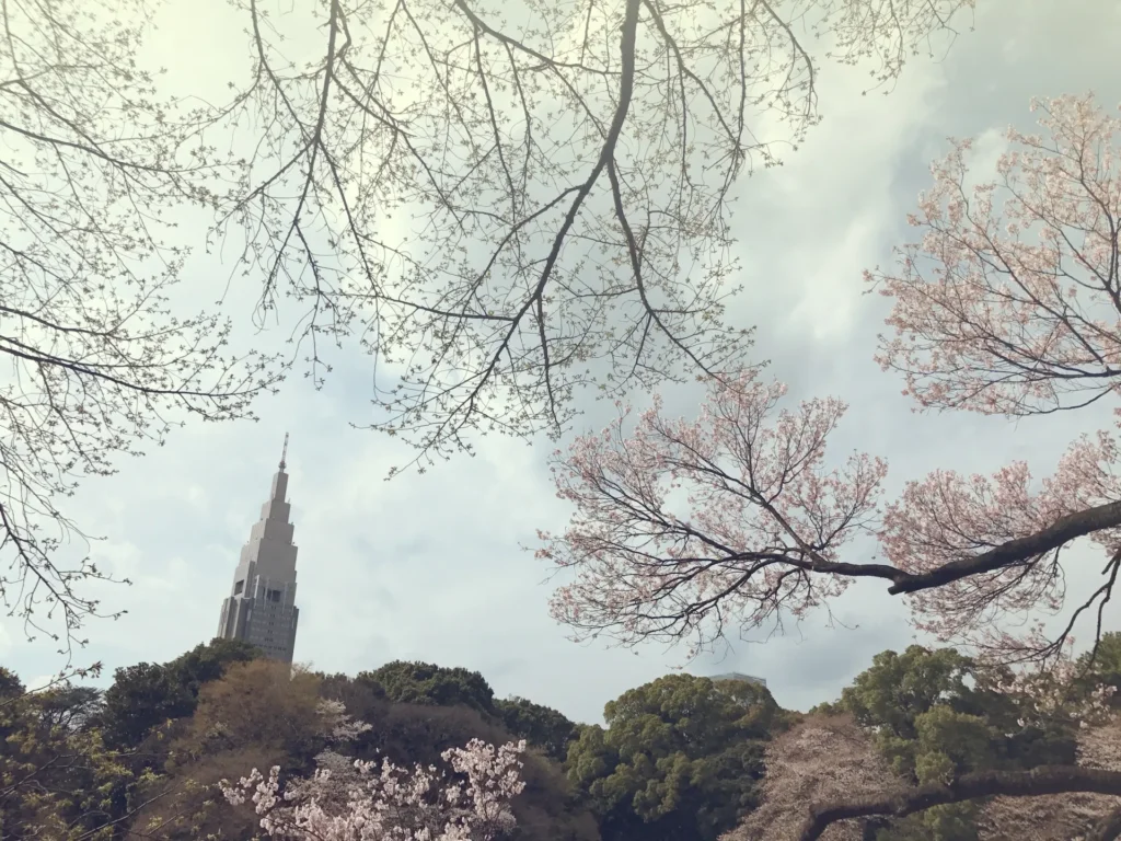 東京都 行ってよかった「ピクニックスポット」4選＆便利アイテムを紹介 開放感あふれる都会のオアシス 2023年5月版- Fav-Log byITmedia