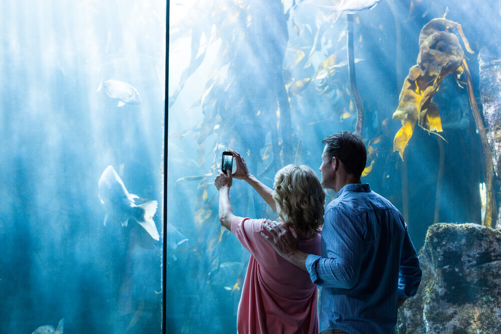 水族館デートならココ！大人が楽しいおすすめ水族館１２選 東日本じゃらんニュース