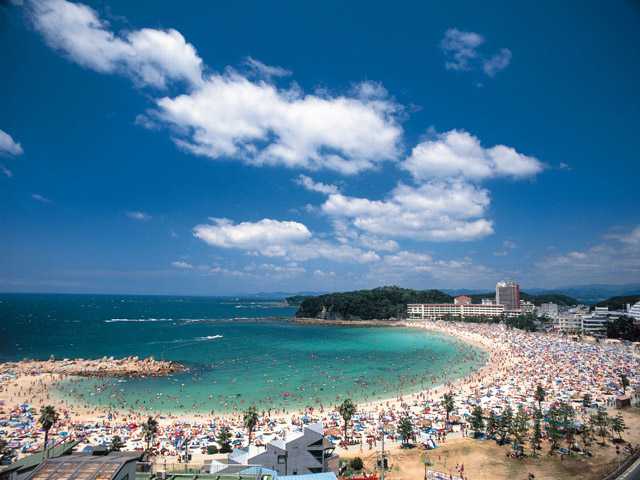 関西 海 ピクニックTikTok