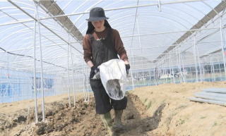 COZY TERRACEコージーテラス島根県出雲市 へのご馳走様でした食べチョク