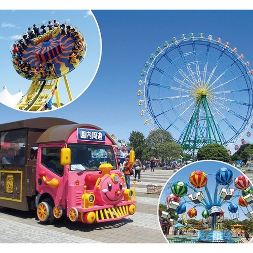 夏の海浜公園号2025時刻表・停車駅・予約・料金は？ひたち海浜公園・海・水族館・海の幸を楽しむ！さいファミ