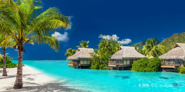 パンガン島の15以上のおすすめアクティビティ-お見逃な