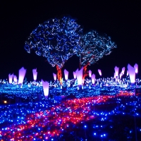 2018-2019 マザー牧場イルミネーションに行ってきた！料金、時間、混雑状況も