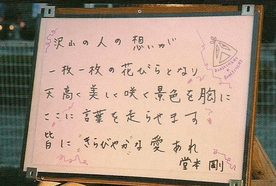 美しい剛桜の見頃は次の週末！TikTok