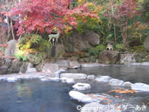 水芭蕉 わたすげのゆ 閉館しました- 沼田ニフティ温泉