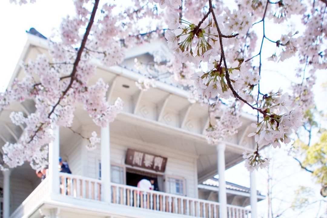 松江城内にある興雲閣 どのシーンかは出てこないんですけど 朝ドラの世界に入ったみたいでした！ 雰囲気たっぷりのカフェでモーニング 最高だった〜☕️島根観光松江城興雲閣亀山田喫茶室