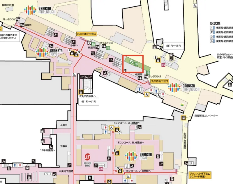 １月の東京駅：ＪＲ東京駅丸の内北口前から丸の内中央広場内へ ＰＡＲＴ１ - 緑の、東京ブログ