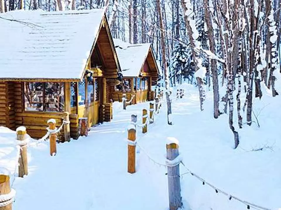 最新 クリスマスツリーの木 - チケット、営業時間、口コミ、写真2025年Trip.com