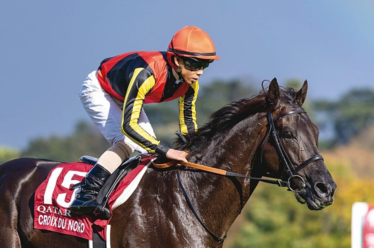 ミカエル・バルザローナ - Wikipedia