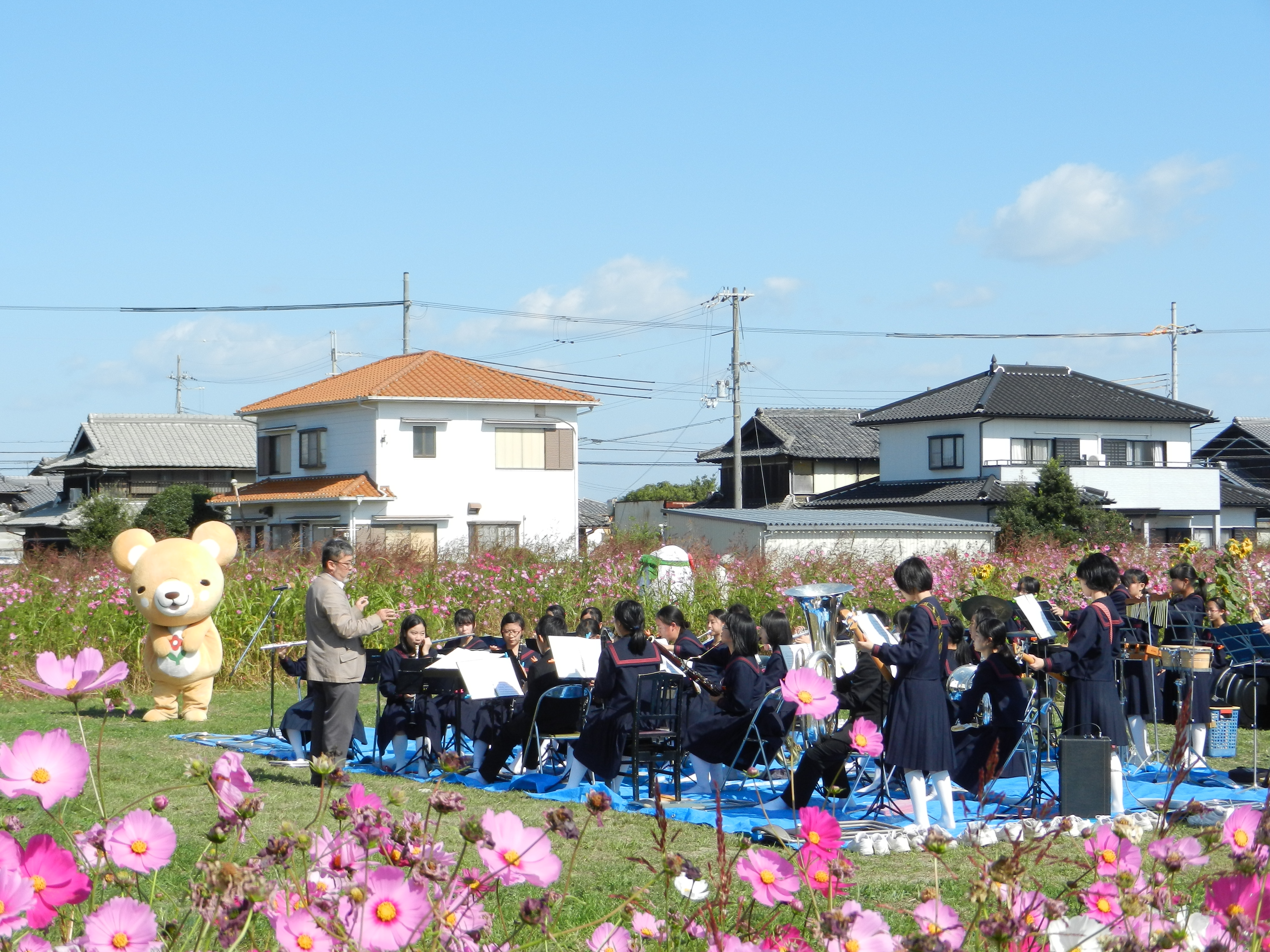 いなみ朝市のコスモス祭りに参加させていただいております！😋 15時まで〜！ 場所は JA兵庫南稲美経営経済センター 加古郡稲美町北山1243-1の東側の田んぼです〜！ ピンクのドアが映えますね〜。 町長さんの私物だそうです笑