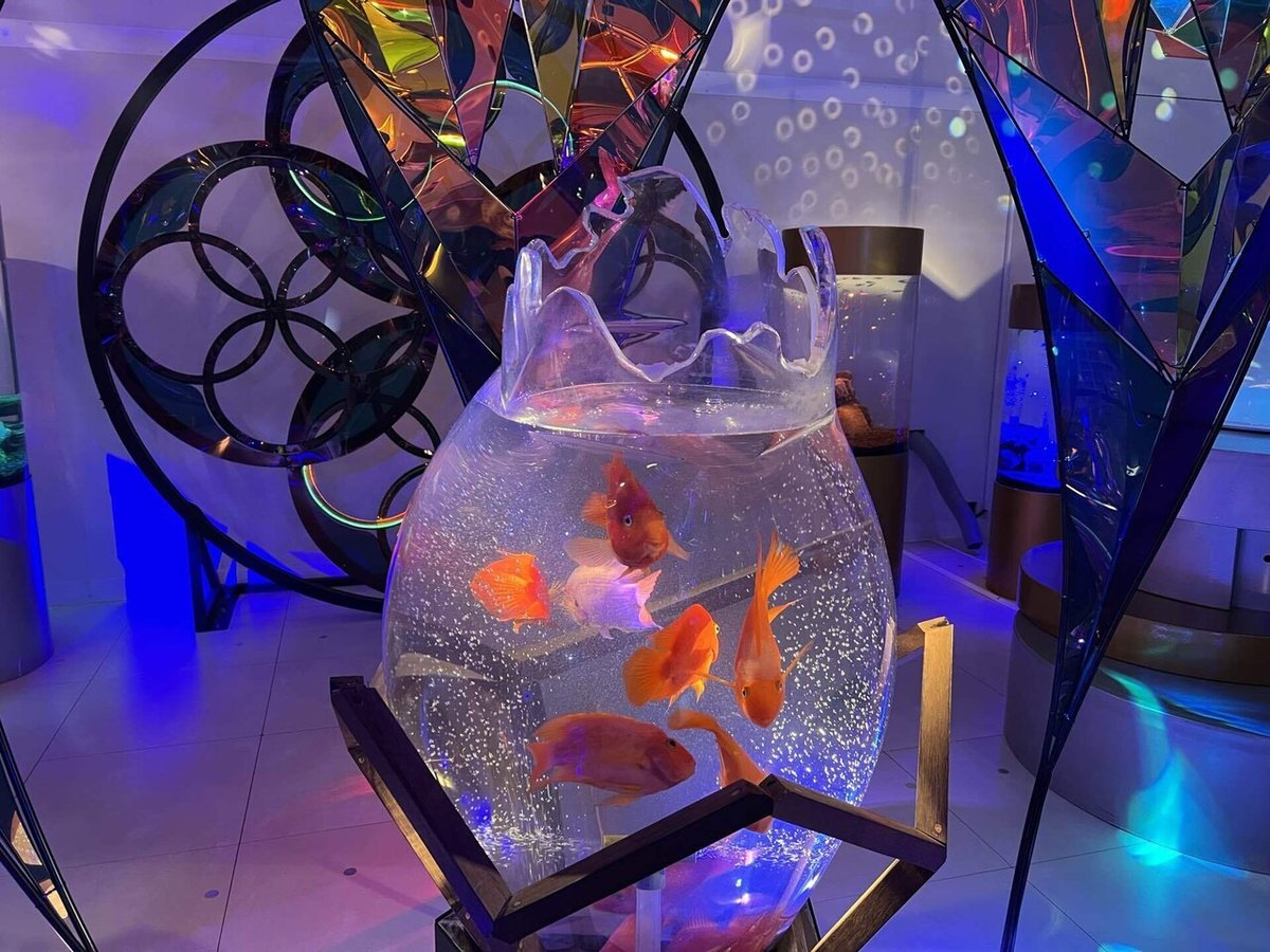 UNDER WATER SPACE NAGOYA 名古屋mozoワンダーシティ１F 2024.4.19～2024.9.23 期間限定開催アート×宇宙×アクアリウム ガラスアートで参加させて頂きました。生田目礼一underwaterspaceアンダーウォータースペースアクアリウム宇宙旅行宇宙を旅する水族館