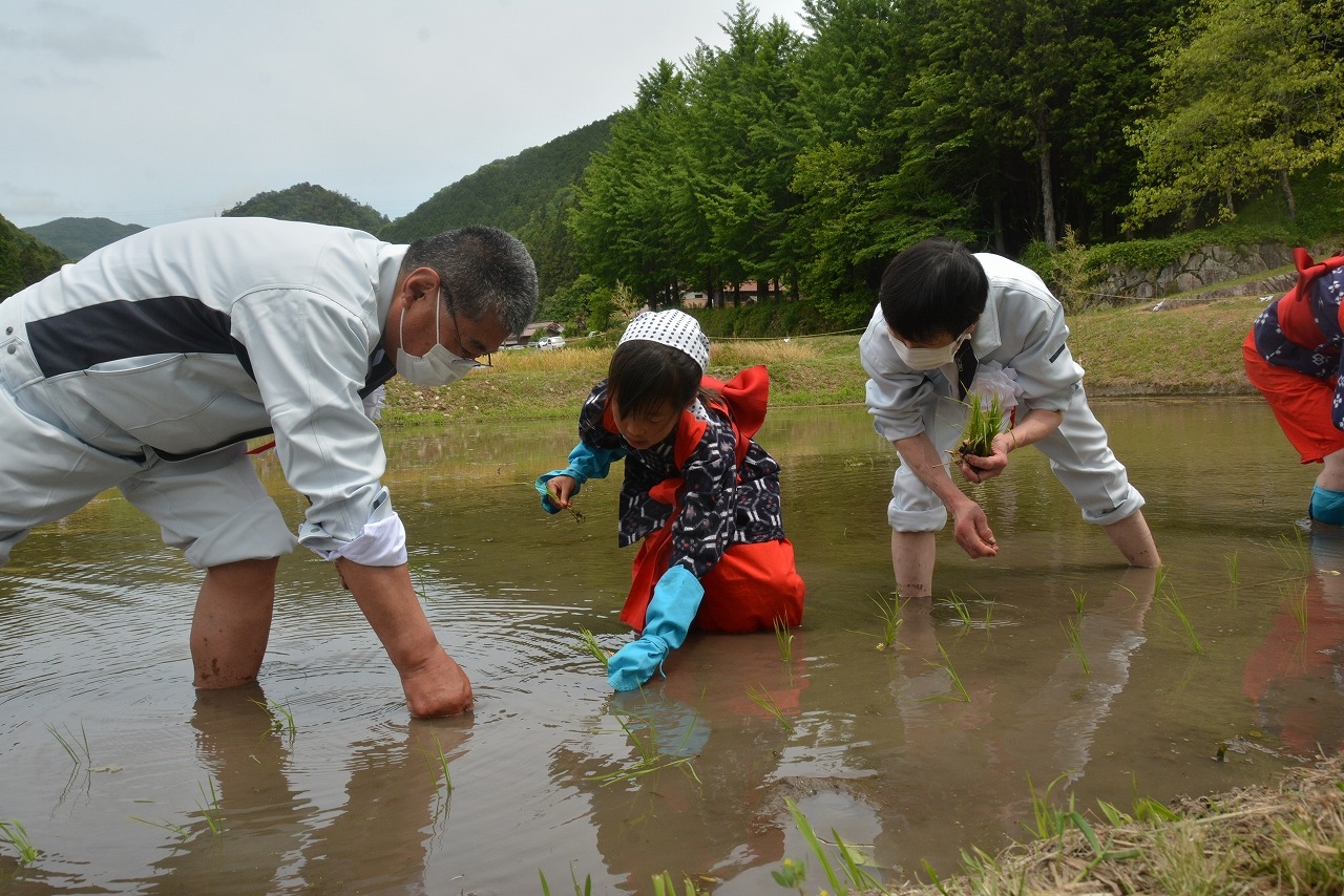 早乙女 イラスト素材4953061- フォトライブラリ