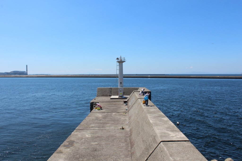 大阪湾奥でタコ釣りが絶好調！エギに巻くエサはキビナゴとホルモンどちらが当たり？TSURINEWS