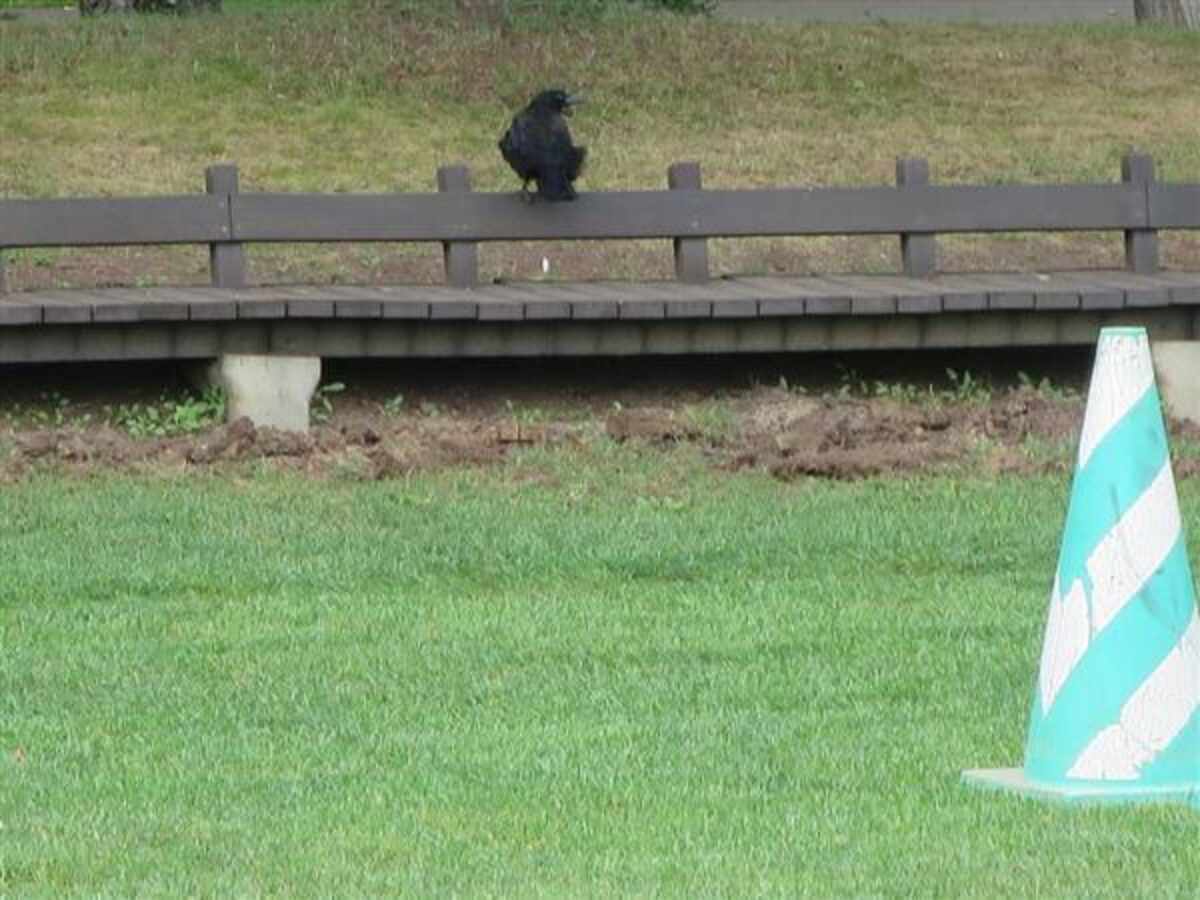 ギネス認定「世界一長いベンチ」は、日本海に沈む夕日のビュースポットニッポン旅マガジン