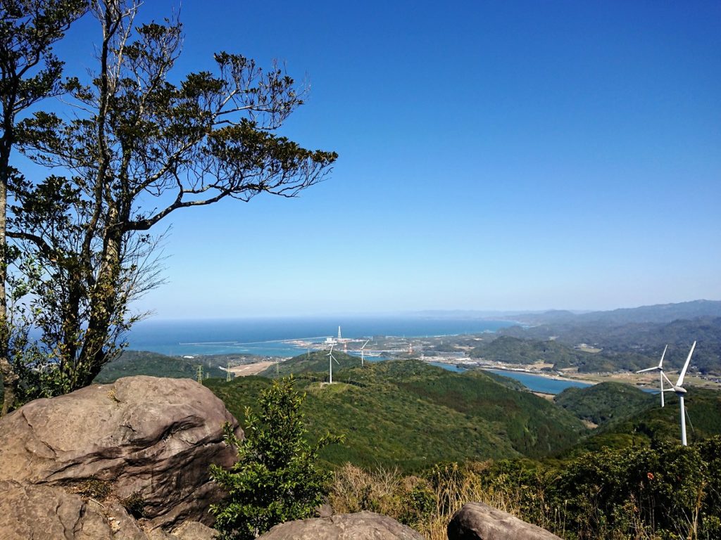 焼き芋にソフトクリームも🍦✨薩摩川内市の癒しスポット「柳山アグリランド」🌳🌷 大人女子旅vol.5 ⁡ ＼川内駅から車で約30分！柳山アグリランド、コスモス開花中💐 @yanagiyamamura ⁡ 満開シーズンは過ぎてしまったそうですが 今日もたくさん咲いていました🌟 ⁡景色
