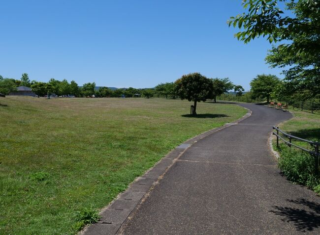西海の丘公園」の展望台からの眺めは？観光情報ほか長崎県西海市
