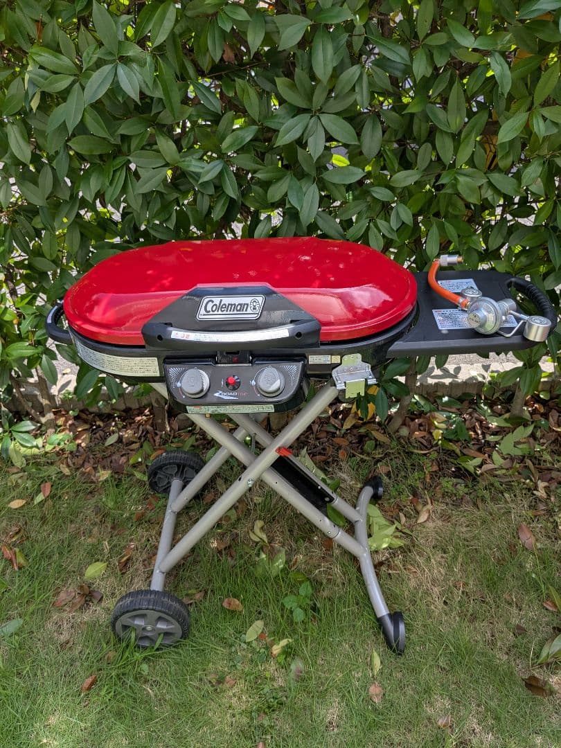 城山南壁 エキスカーション 6P 5.10cTeppei KitayamaFlickr