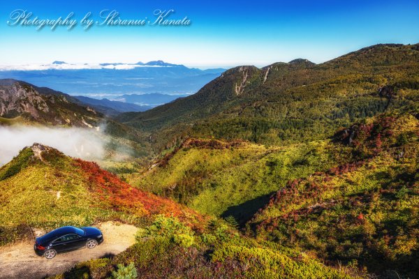 車雑誌も使う撮影スポットＳpecial Ｐorsche .com