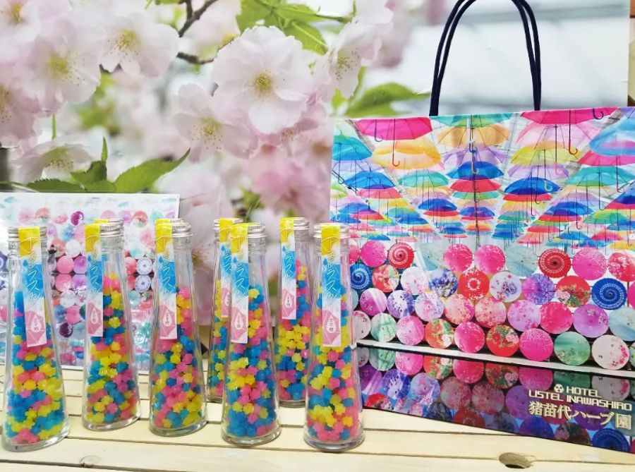 福島県 猪苗代町『 猪苗代ハーブ園 』➁トイプードルこむぎのおでかけ日記