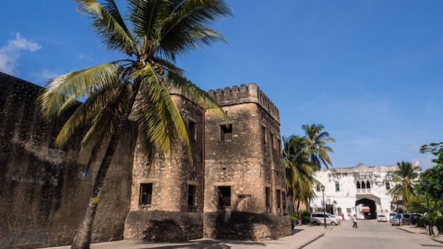 世界遺産のザンジバルの首都を散策 東アフリカ周遊旅行 』ザンジバル タンザニア の旅行記・ブログ by こぼちゃさん フォートラベル