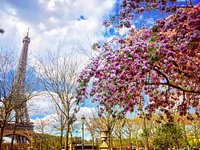 シャン・ド・マルス公園エッフェルの写真スポット＆芝生エリアでピクニック