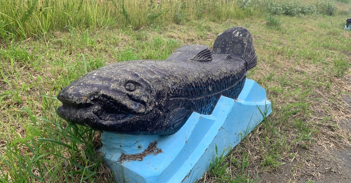 はまなすの丘公園のハマナスが見頃です！ 2023年6月7日June 7, 2023 Japanese roses are fullbloomed😊 at Hamanasu no Oka Park, Ishikari city, Hokkaido 2023年6月7日のはまなすの 丘公園の風景です。 ハマナスのお花が見頃と言ってもいい状態です！たくさん咲い