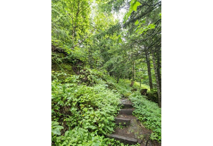 双瀑台夏を待つセイルのように