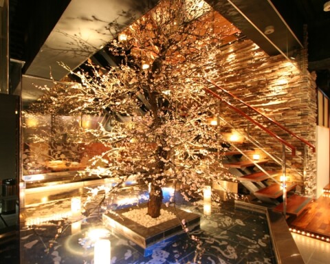 お月見デート 極上夜景とグルメを堪能！秋のお月見レストラン8選