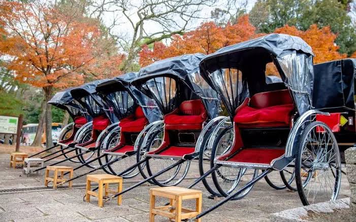 人力車貸切ツアー 嵐山発 嵐山散策 10～120分 竹林の小径＋野宮神社＋二尊院＋渡月橋＆選べる5つの所要時間！愛犬連れOKプランあり＜ガイド付 えびす屋＞京都の観光&遊び・体験・レジャー専門予約サイト VELTRA ベルトラ