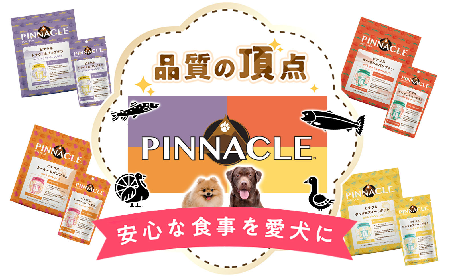 チュンポンピナクル公式 タイ国政府観光庁