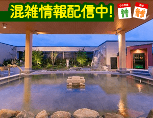 春日部温泉 湯楽の里周辺の大浴場ありの おすすめホテル・旅館 - 宿泊予約は 一休.com