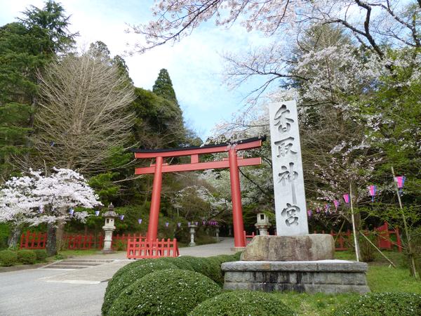 香取神宮 奥宮 の恋愛パワースポット属性！御朱印帳サイズや御朱印種類と社務所時間 - Love神さま！源の愛、グルメ旅、料理、花、アートと音楽