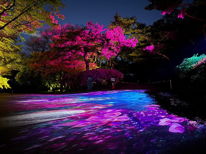 2025 昌慶宮 水光年華韓国旅行「コネスト」