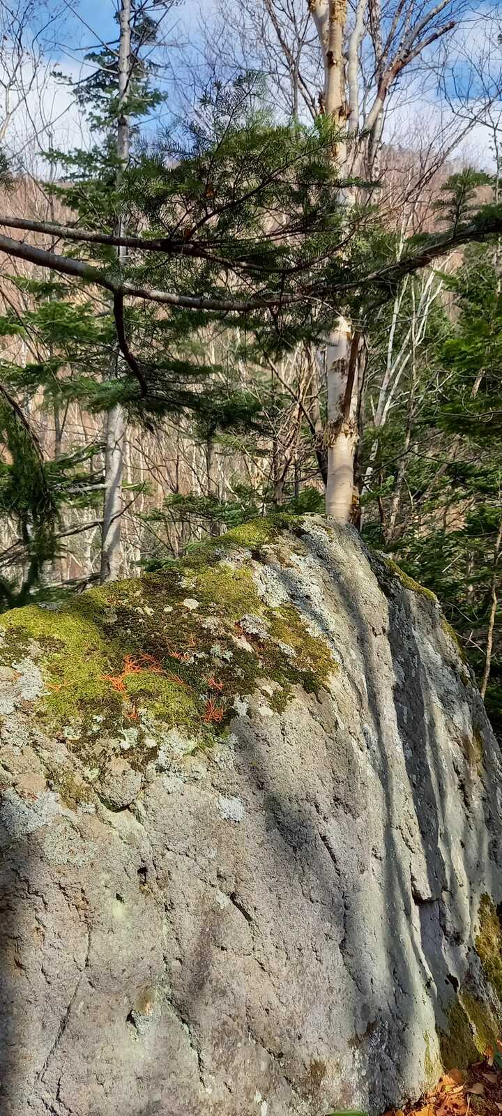 双瀑台最新の山行記録と登山ルートやアクセス、気象状況など-ヤマレコ