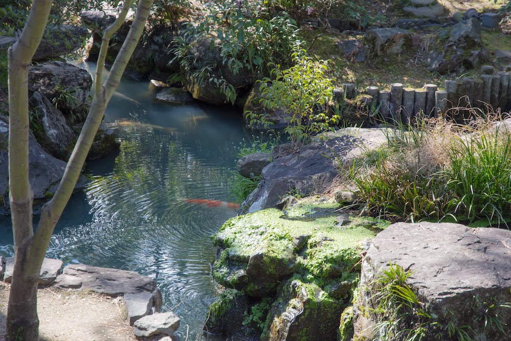 総計24着！ 倉敷美観地区「新渓園」で行う、花嫁和装ショー開催！株式会社サムシングフォーのプレスリリース